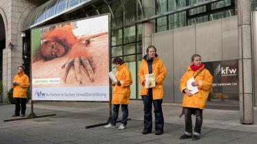 Greenpeace-Aktivisten protestieren vor der KfW-Bank gegen Kredite für den Urwaldzerstörer Sinar Mas. 11/26/2009