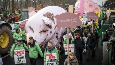 Großes aufblasbares Schwein auf der Demo