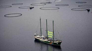 Aktion mit Rainbow Warrior gegen Ausrottung des Roten Thufisch in der Türkei. September 2009