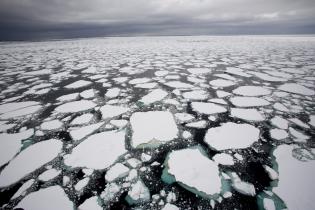 Eisfeld im Rossmeer, Antarktis 2007