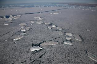 Greenpeace-Expedition mit der "Arctic Sunrise" in der Arktis, Juli 2009