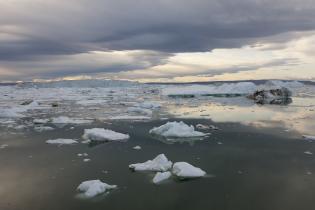 Greenpeace-Expedition mit der "Arctic Sunrise", Humboldt Gletscher, Juli 2009