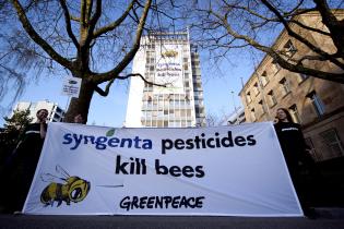 Banner an der Syngenta-Zentrale in der Schweiz