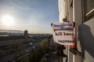 Greenpeace-Kletterer am Hauptsitz des Basler Agrochemie-Konzerns Syngenta.