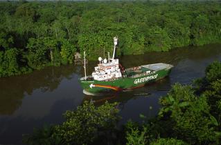 Die Arctic Sunrise unterwegs auf einem Nebenfluss des Amazonas, 2001