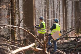 05. März 2014: Greenpeace-Aktivisten kartieren im Spessart wertvolle alte Buchenwälder