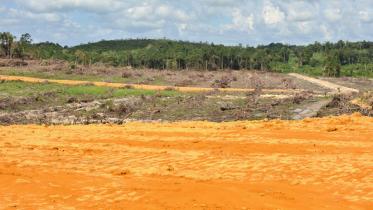 Neue Beweise zu Sinar Mas / PT Bat: Gerodeter Urwald in Indonesien 04/26/2010