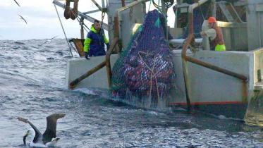 Neuseeländischer Tiefseetrawler "Corsair" im Tasmanischen Meer, Juni 2004