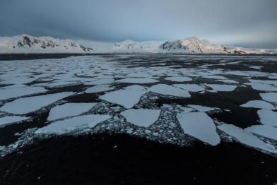 Ansichten von Landschaften und Tieren der Antarktis, produziert von Markus Mauthe für das Projekt "Ränder der Welt" in Zusammenarbeit mit Greenpeace Deutschland.