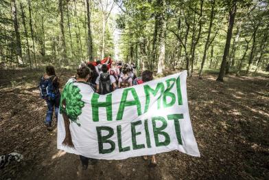 Demonstration against Planned Logging in Hambach Forest