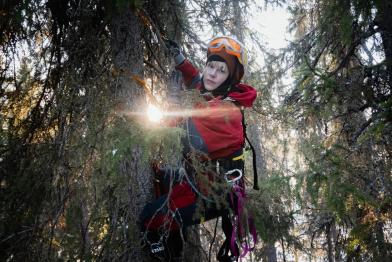 Activists Hinder Logging of Forest in Finland