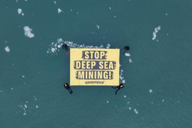 Zwischen Eisschollen halten Greenpeace-Aktivist:innen ein Banner mit der Botschaft "Stop Deep Sea Mining".