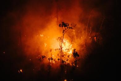 Waldbrand nahe des Flusses Manicoré im Amazon-Regenwald in Brazilien