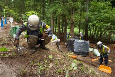 In einem Waldstück an einer Straße hocken Arbeiter. Sie tragen Schutzanzüge und Helme und haken kontaminierte Erde vom Boden.