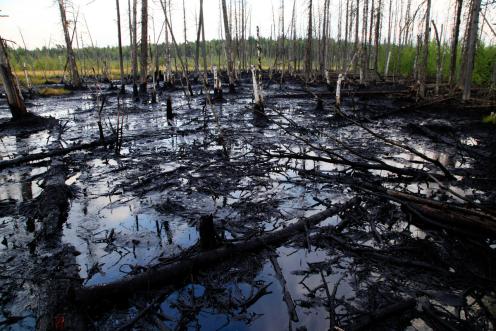 Ein Ölteppich in Westsibirien (Region Surgut) wird während einer Greenpeace-Untersuchungstour entdeckt.