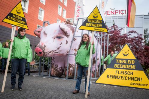 Zwei Aktive stehen neben einem großen aufblasbaren Schwein