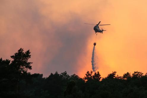 Forest Fire in Brandenburg