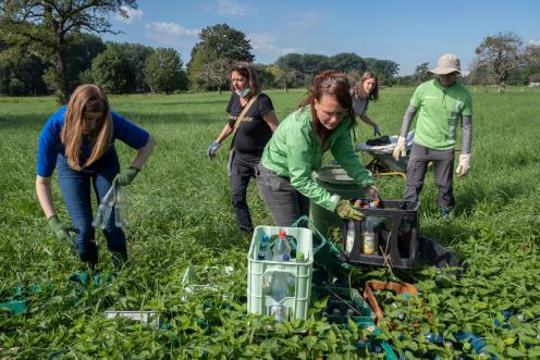 Cleanup action at the Ahr Estuary after Flooding in Germany