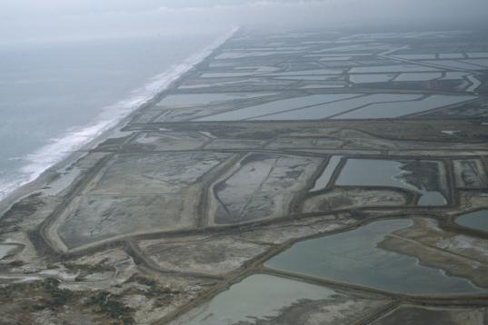 Shrimp Farming in Ecuador