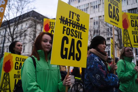 Protest March against Gas Industry in Vienna