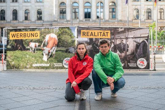 Zwei Aktive von Greenpeace und vier Pfoten vor Protestplakaten gegen Anbindehaltung