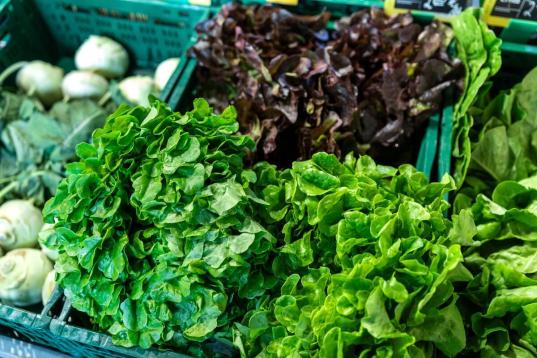 Organic Vegetables at Market in Hamburg