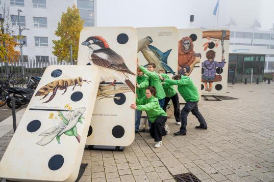 Greenpeace-Aktive stemmen sich gegen Dominosteine mit Arten drauf, die umzukippen drohen