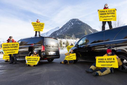 Greenpeace activists block heliport Lago ahead of WEF, Davos