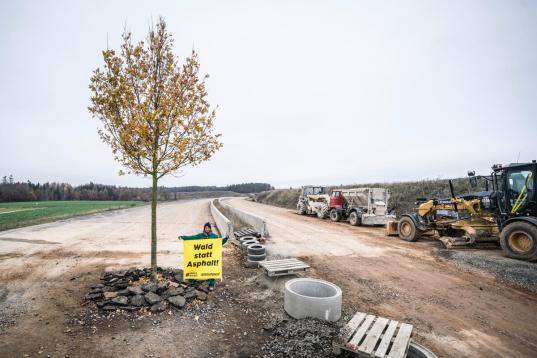 Aktivist:innen pflanzen eine ca. acht Meter hohe Stieleiche an das Ausbauende der umstrittenen A49 in Hessen.  Auf einem Banner steht "Wald statt Asphalt"