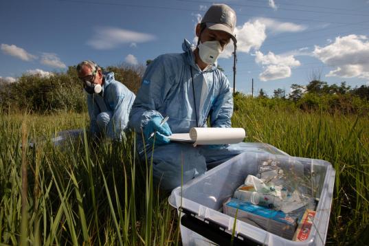 Examination around Chornobyl for Radioactivity