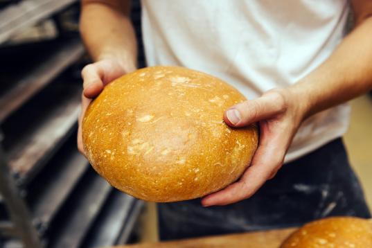 Baking Bread with Animal-Feed Wheat in Germany