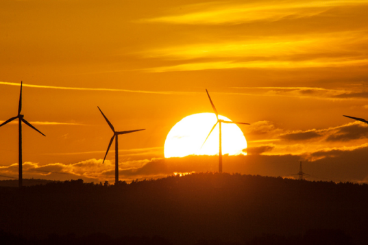 Windräder vor Sonnenuntergang