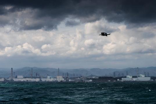 Dunkle Wolken über Fukushima