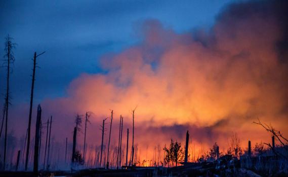 Waldbrand in Frohnsdorf, Treuenbrietzen in Brandenburg