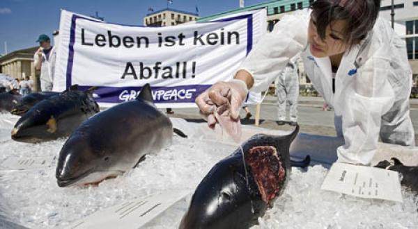 dead whales action Berlin