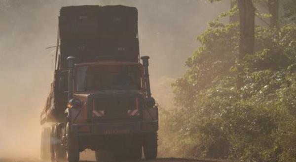 rainforest Africa logging