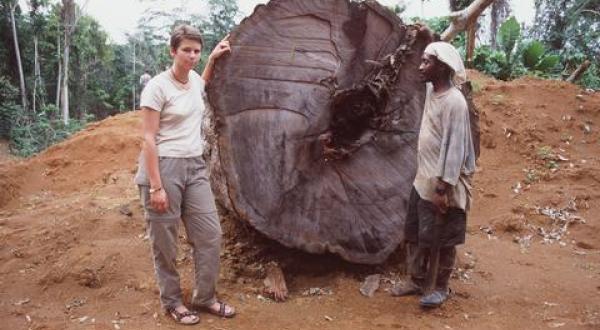 rainforest Cameroon