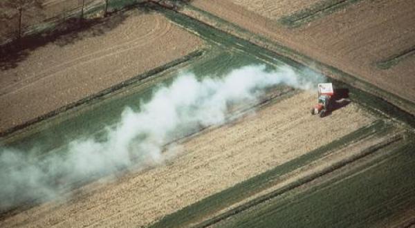 agriculture fields