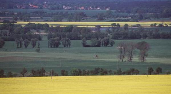 agriculture fields