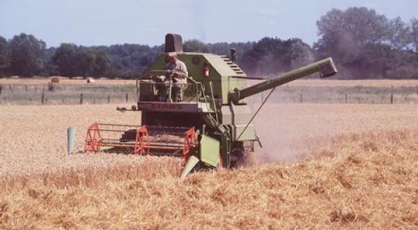 agriculture harvest