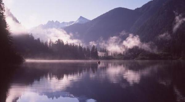 Canadian rainforest