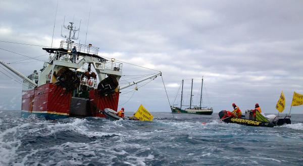 fishery action NZ