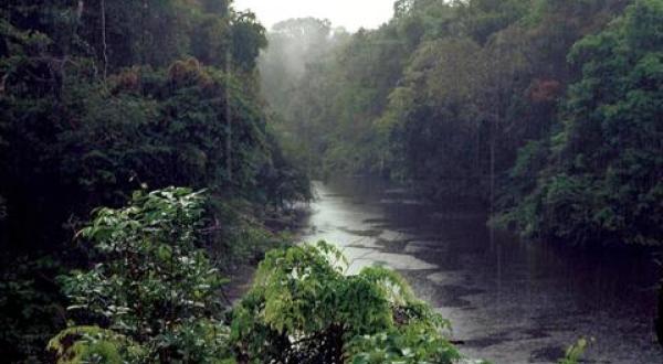 Xerua River Brazil