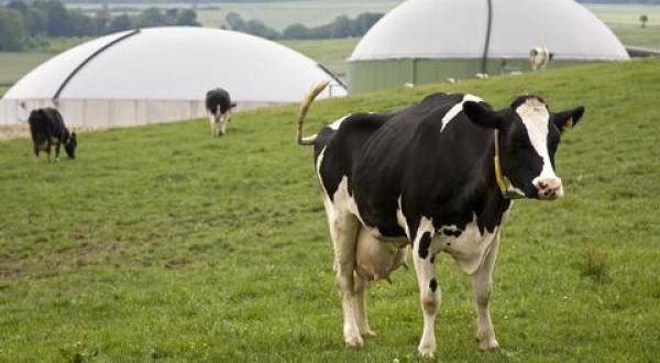 Bioenergiedorf Jühnde