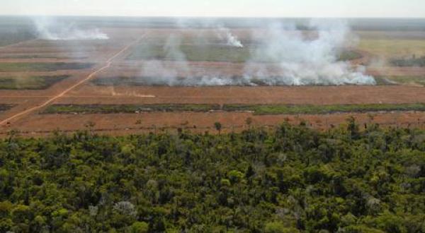 soya plantation in the Amazon