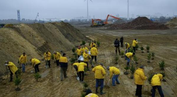 Trees against coal power plant