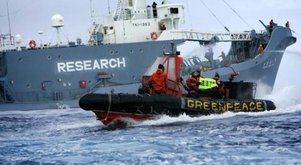 Yushin Maru in the Southern Ocean