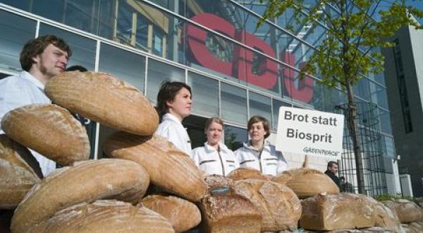 Agrofuel action at CDU Berlin