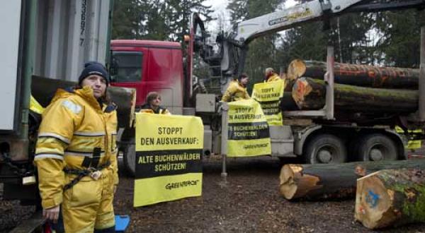 Protest gegen den Export alter Buchen aus dem Spessart.