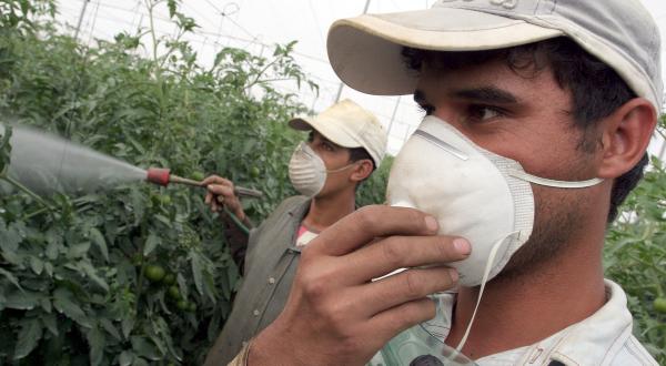 Pesticide Use in Spain